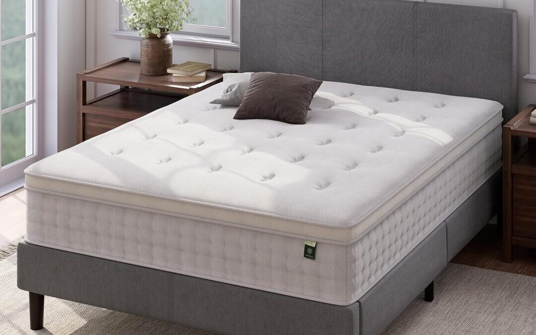 Zinus Mattresses