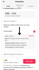 Personnalisation du public sur tiktok ads