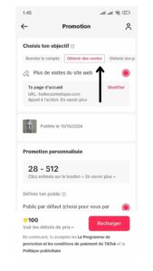 Tiktok ads objectif ventes